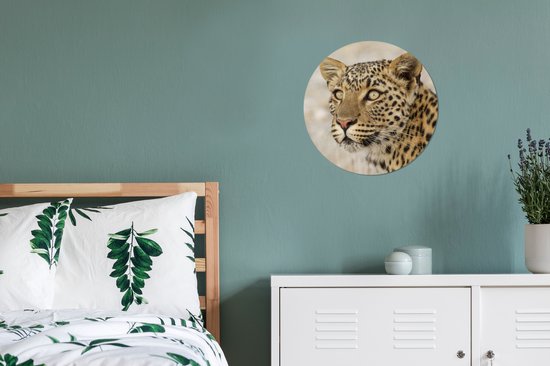 WallCircle - Wall Circle - Wall Circle Indoor - Léopard - Macro - Marron - 30x30 cm - Décoration murale - Peintures Ronds