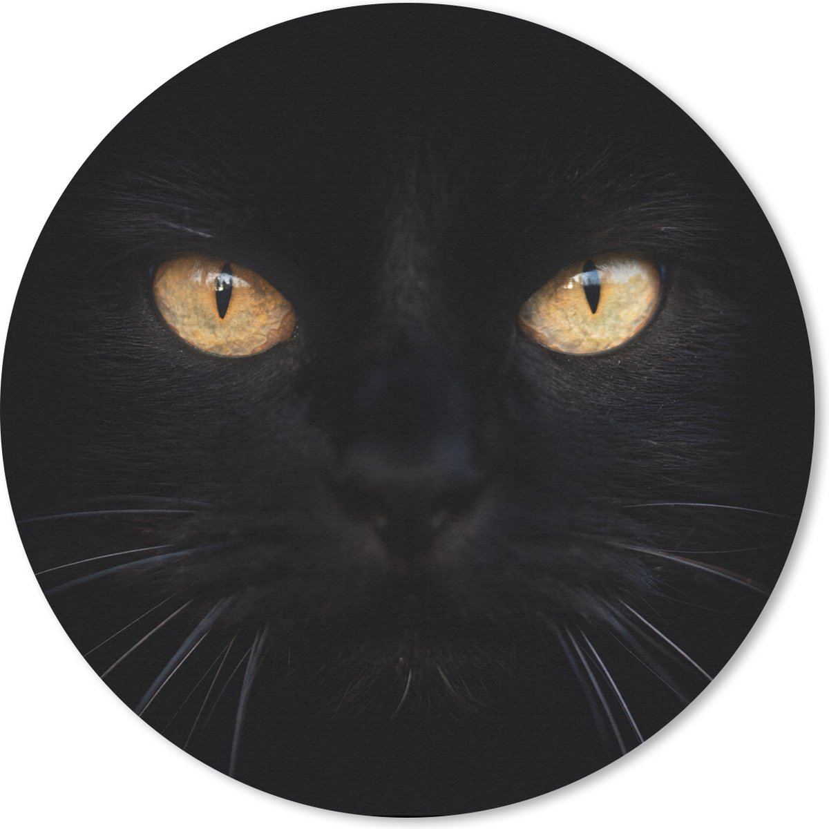 Muismat rond 30x30 cm - Mousepad Close-up zwarte kat - Ronde muismatten