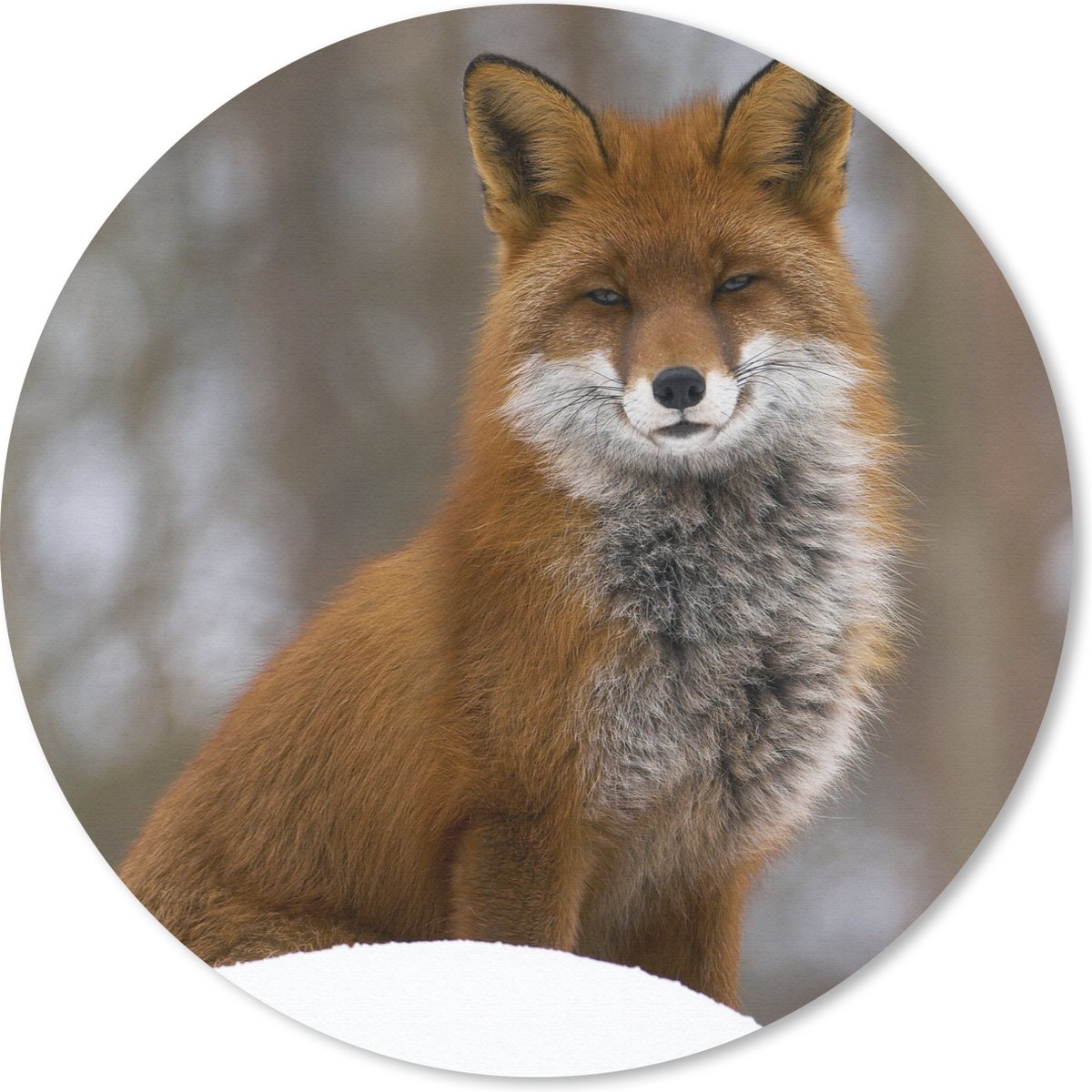 Muismat rond 20x20 cm - Mousepad Vos - Bos - Rood - Ronde muismatten