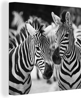 Canvas Schilderij Zebra zwart wit - 50x50 cm - Wanddecoratie