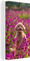 Tableau sur toile Chien - Fleurs - Lavande - Printemps - 80x160 cm - Décoration murale