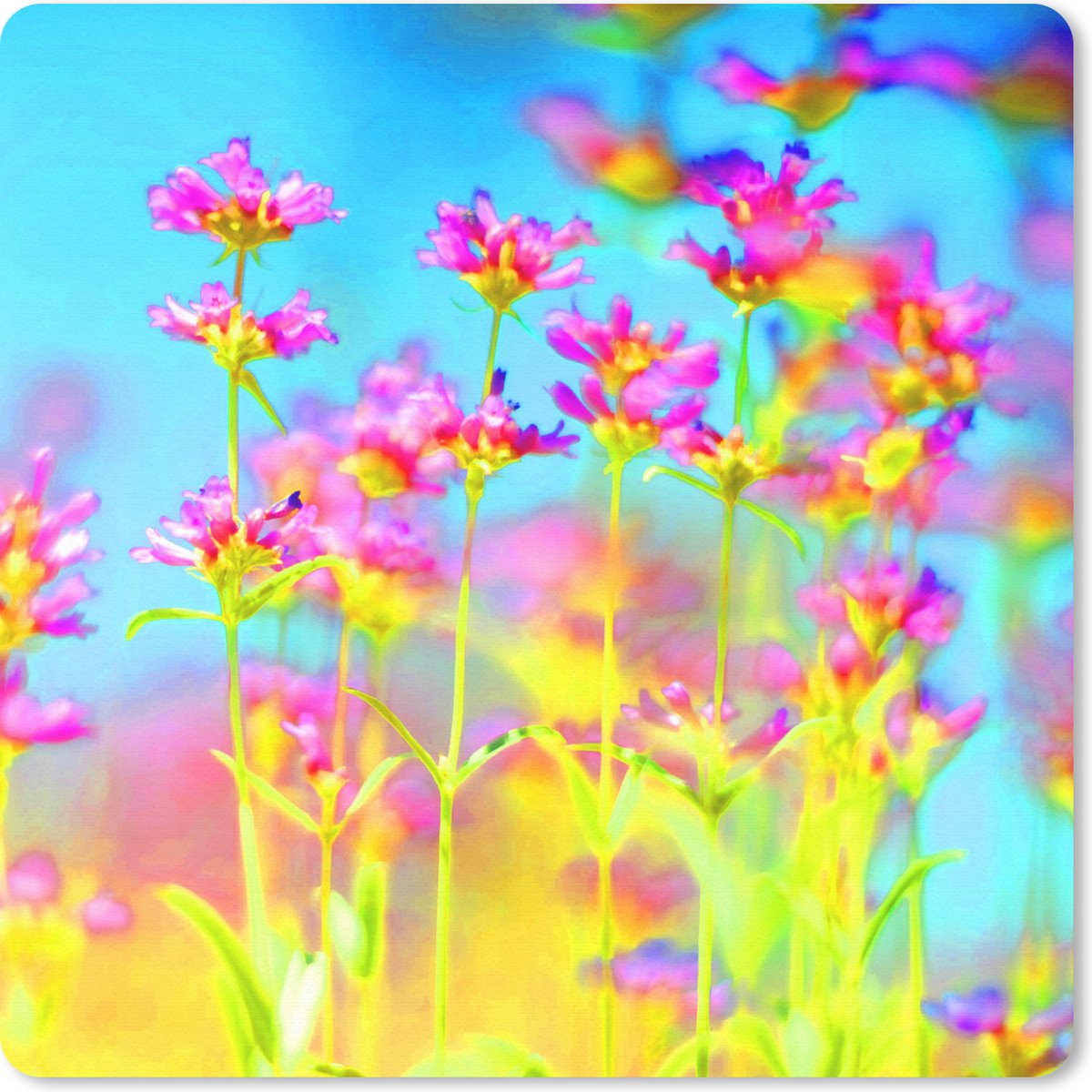 Muismat Klein - Bloemen - Kunst - Psychedelisch - 20x20 cm