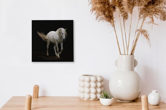 Cheval Wit devant une toile de fond noir 2cm 20x20 cm - petit - Tirage photo sur Toile (Décoration murale salon / chambre) / Animaux sauvages Peintures sur toile