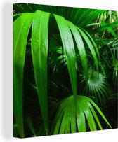 Canvas Schilderij Palmbladen in de jungle - 90x90 cm - Wanddecoratie