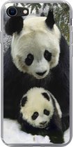 Geschikt voor iPhone 7 hoesje - Panda - Welp - Sneeuw - Siliconen Telefoonhoesje
