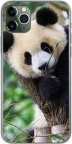 Geschikt voor iPhone 11 Pro Max hoesje - Panda - Dieren - Jungle - Natuur - Siliconen Telefoonhoesje