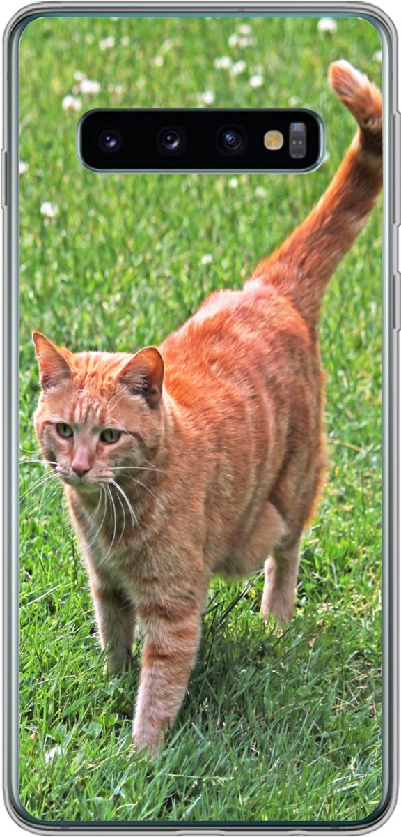 Telefoonhoesje Geschikt voor Samsung Galaxy S10 hoesje - Kat - Rood - Kater - Meisjes - Kinderen - Jongens - Kind - Siliconen Telefoonhoesje Telefoonhoesje