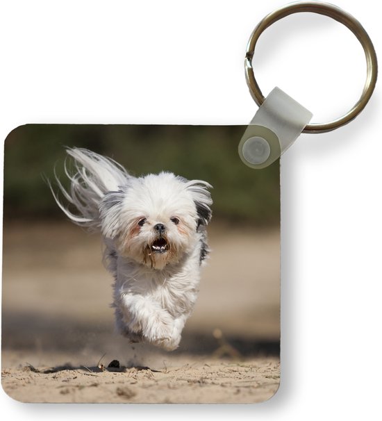 Sleutelhanger - Uitdeelcadeautjes - Een Shih Tzu hond zweeft met zijn pootjes boven de grond - Plastic