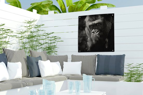 Posters de jardin Gorilla sur fond noir en noir et blanc - 50x50 cm - Toile jardin - Poster extérieur