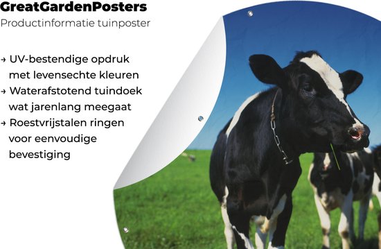 Garden Circle Vaches - Herbe - Animaux - 90x90 cm - Affiche de Jardin Ronde - Extérieur