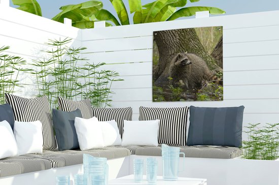 Posters de Posters de jardin Raton laveur - Water - Forêt - 50x50 cm - Toile de jardin - Poster extérieur