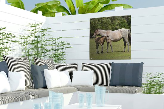 Posters de jardin Paarden - Herbe - Ombre - 50x50 cm - Toile de jardin - Affiche extérieure