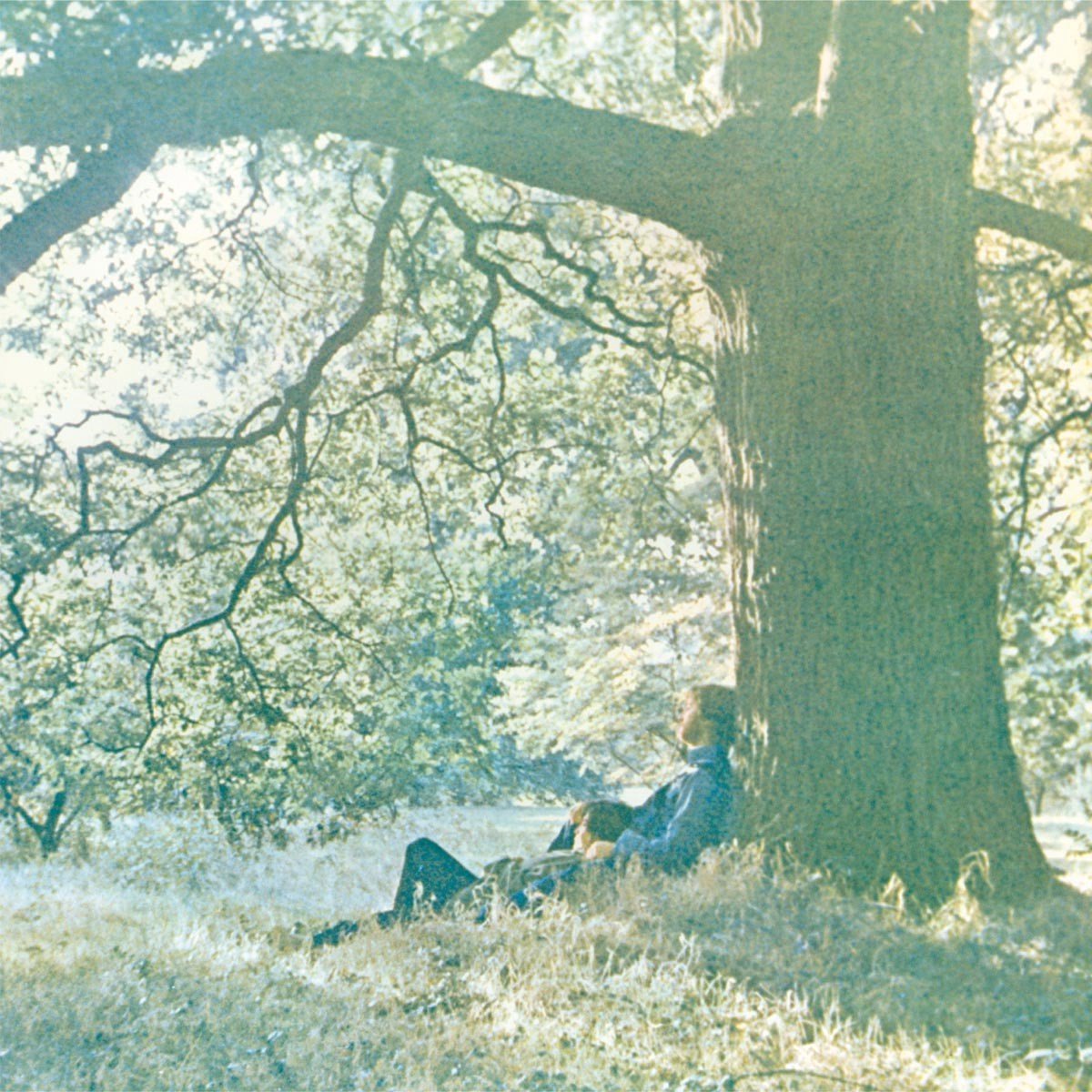 Yoko Ono & Plastic Ono Band - Plastic Ono Band (LP) (Reissue)