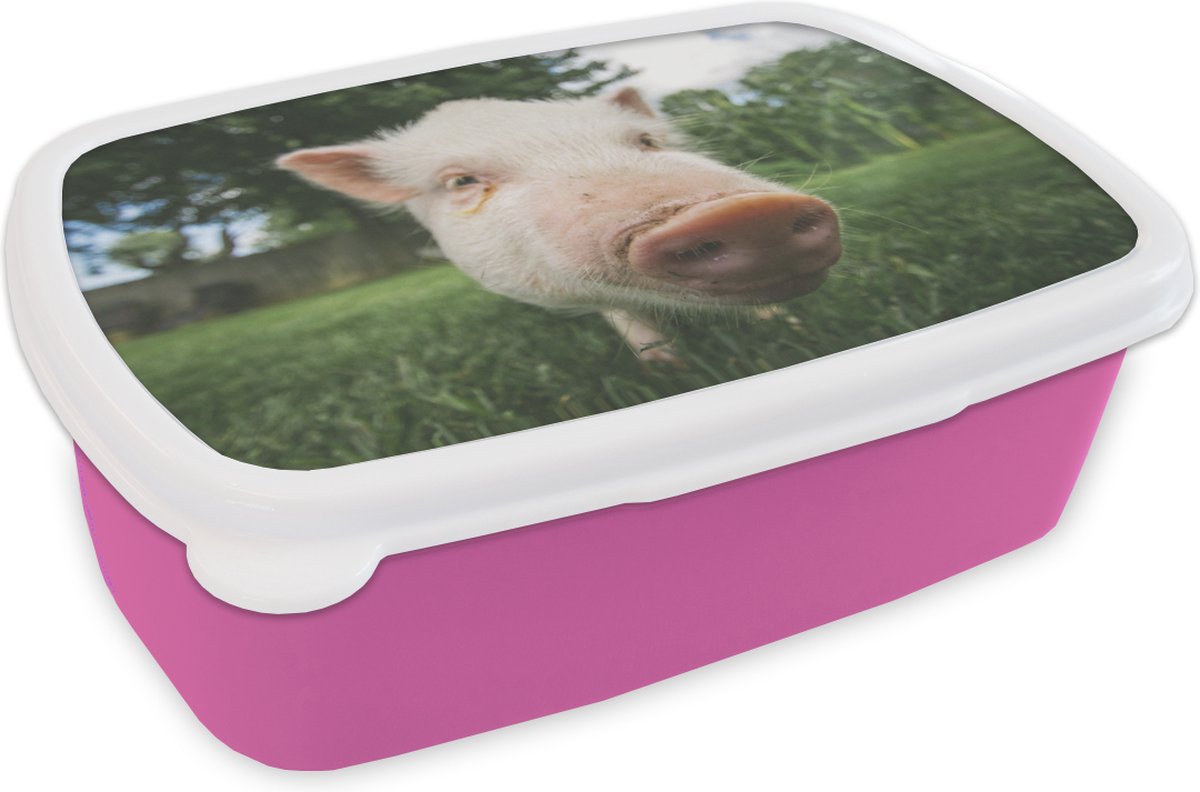 Broodtrommel Roze - Lunchbox - Brooddoos - Varken - Close up - Gras - 18x12x6 cm - Kinderen - Meisje