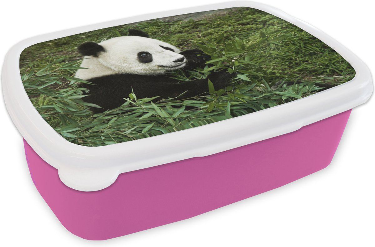 Broodtrommel Roze - Lunchbox - Brooddoos - Panda - Bamboe - Plant - 18x12x6 cm - Kinderen - Meisje