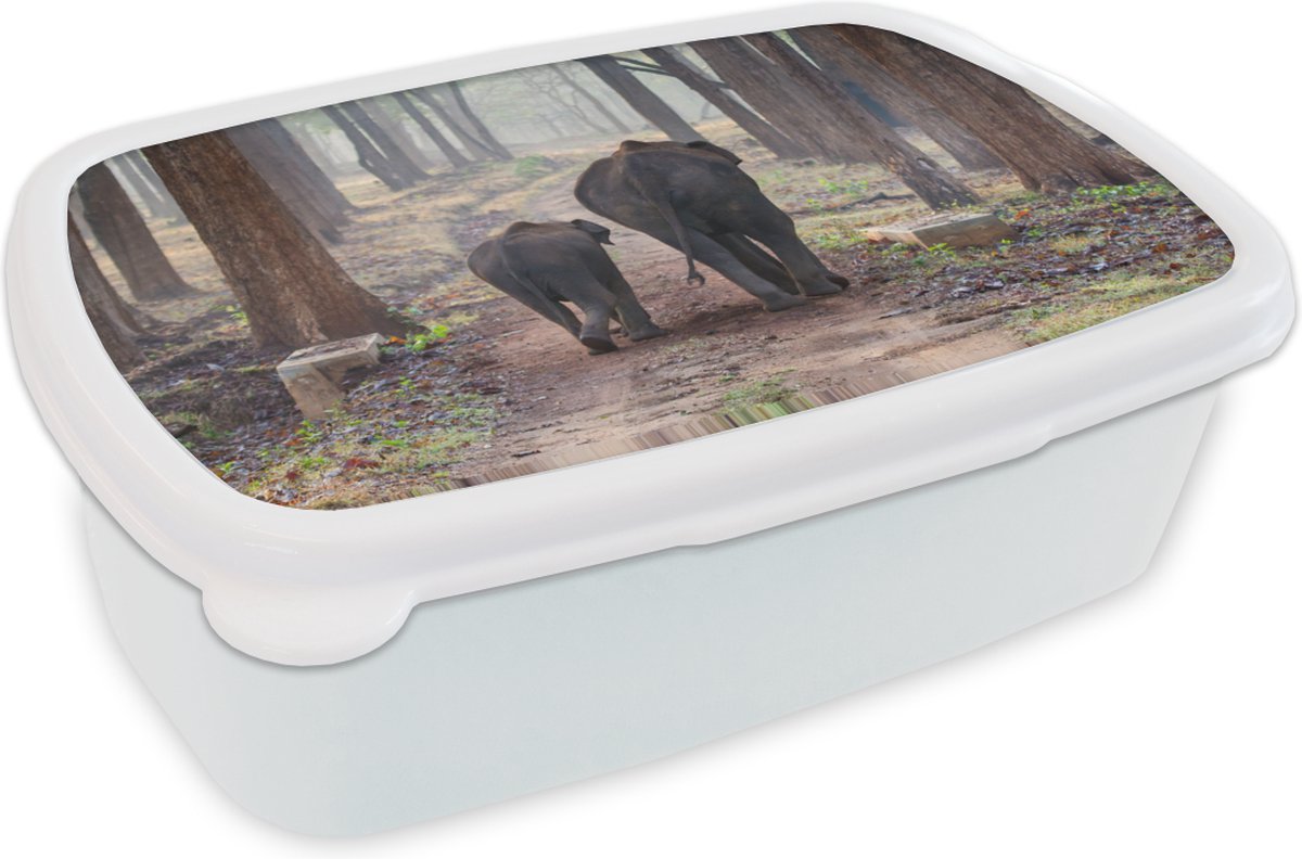 Broodtrommel Wit - Lunchbox - Brooddoos - Olifant - Kalf - Bos - 18x12x6 cm - Volwassenen