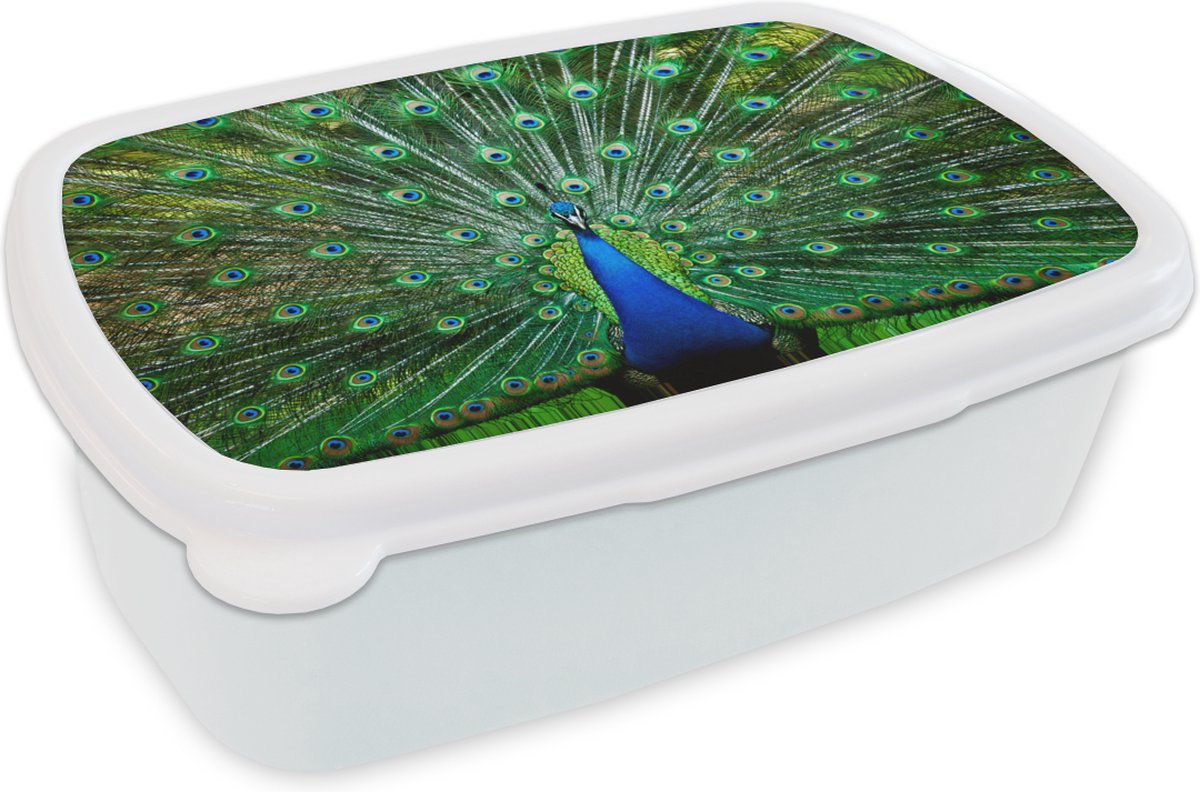 Broodtrommel Wit - Lunchbox - Brooddoos - Pauw - Dieren - Vogel - 18x12x6 cm - Volwassenen