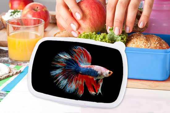 Lunchbox Blauw - Lunchbox - Boîte à pain - Poisson - Créature marine - Staart - Blauw - 18x12x6 cm - Enfants - Garçon