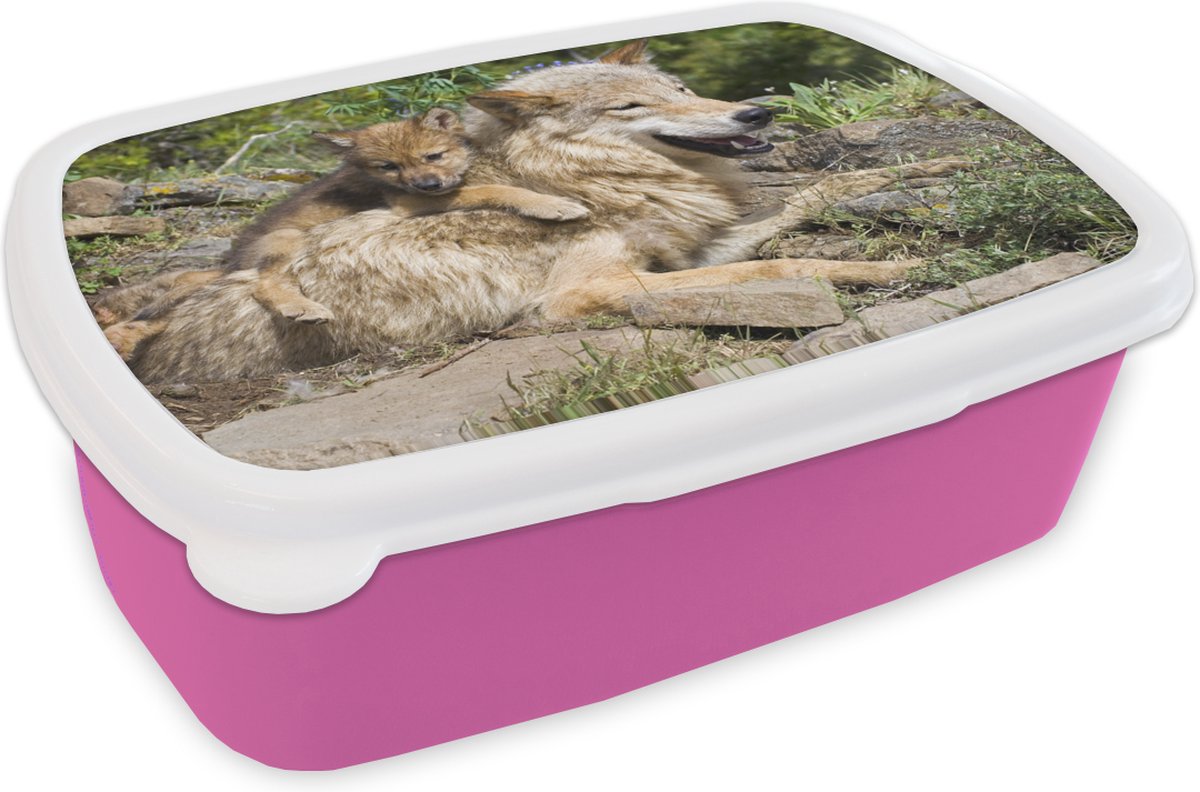 Broodtrommel Roze - Lunchbox - Brooddoos - Wolf - Welp - Dier - 18x12x6 cm - Kinderen - Meisje