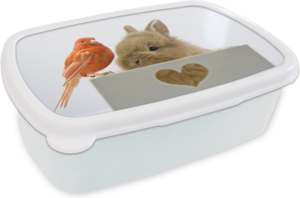 Broodtrommel Wit - Lunchbox - Brooddoos - Dieren - Konijn - Vogel - 18x12x6 cm - Volwassenen