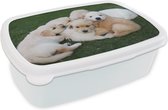 Broodtrommel Wit - Lunchbox - Brooddoos - Dieren - Puppy's - Honden - 18x12x6 cm - Volwassenen