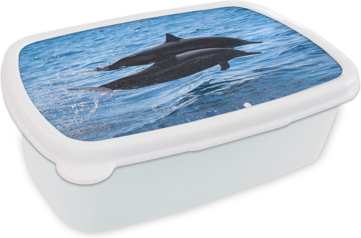 Broodtrommel Wit - Lunchbox - Brooddoos - Dolfijn - Zee - Dier - 18x12x6 cm - Volwassenen