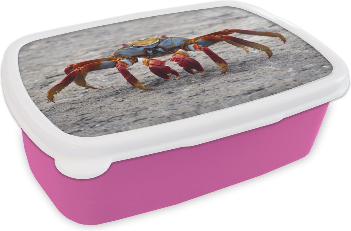 Broodtrommel Roze - Lunchbox - Brooddoos - Strand - Dieren - Krab - 18x12x6 cm - Kinderen - Meisje