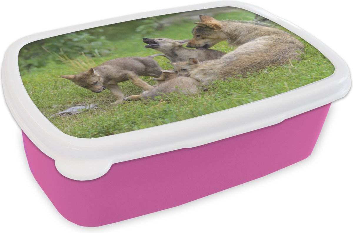 Broodtrommel Roze - Lunchbox - Brooddoos - Wolf - Welpen - Gras - 18x12x6 cm - Kinderen - Meisje