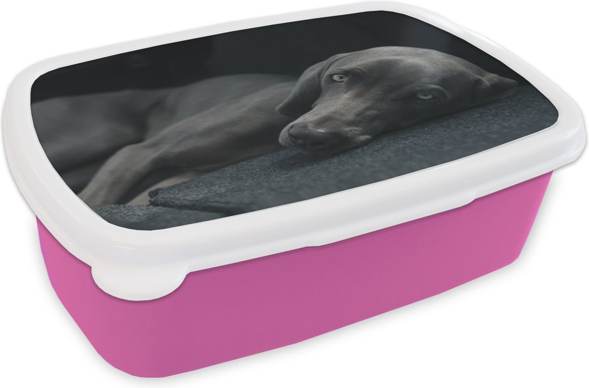 Broodtrommel Roze - Lunchbox - Brooddoos - Hond - Ogen - Zwart - 18x12x6 cm - Kinderen - Meisje