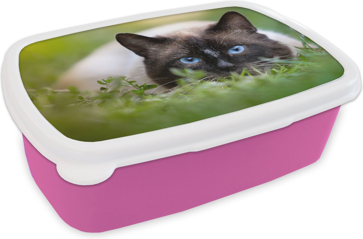 Broodtrommel Roze - Lunchbox - Brooddoos - Kat - Gras - Portret - 18x12x6 cm - Kinderen - Meisje