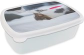 Broodtrommel Wit - Lunchbox - Brooddoos - Kat - Kitten - Lakens - 18x12x6 cm - Volwassenen