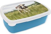 Broodtrommel Blauw - Lunchbox - Brooddoos - Koe - Gras - Landschap - 18x12x6 cm - Kinderen - Jongen