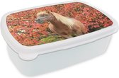 Broodtrommel Wit - Lunchbox Paard - Pony - Herfstbladeren - Brooddoos 18x12x6 cm - Brood lunch box - Broodtrommels voor kinderen en volwassenen