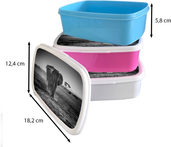 Broodtrommel Wit - Lunchbox - Brooddoos - Olifanten in Kenia in zwart-wit - 18x12x6 cm - Volwassenen