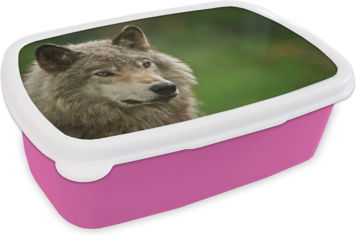 Broodtrommel Roze - Lunchbox - Brooddoos - Wolf - Grijs - Vacht - 18x12x6 cm - Kinderen - Meisje