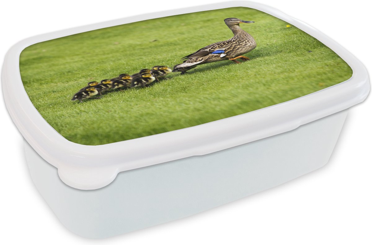 Broodtrommel Wit - Lunchbox - Brooddoos - Eend met jongen in het gras - 18x12x6 cm - Volwassenen