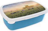 Broodtrommel Blauw - Lunchbox - Brooddoos - Koe - Zon - Gras - 18x12x6 cm - Kinderen - Jongen