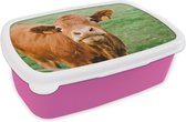 Broodtrommel Roze - Lunchbox - Brooddoos - Koe - Bruin - Gras - 18x12x6 cm - Kinderen - Meisje