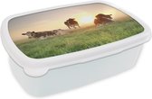 Broodtrommel Wit - Lunchbox - Brooddoos - Koe - Zon - Gras - 18x12x6 cm - Volwassenen