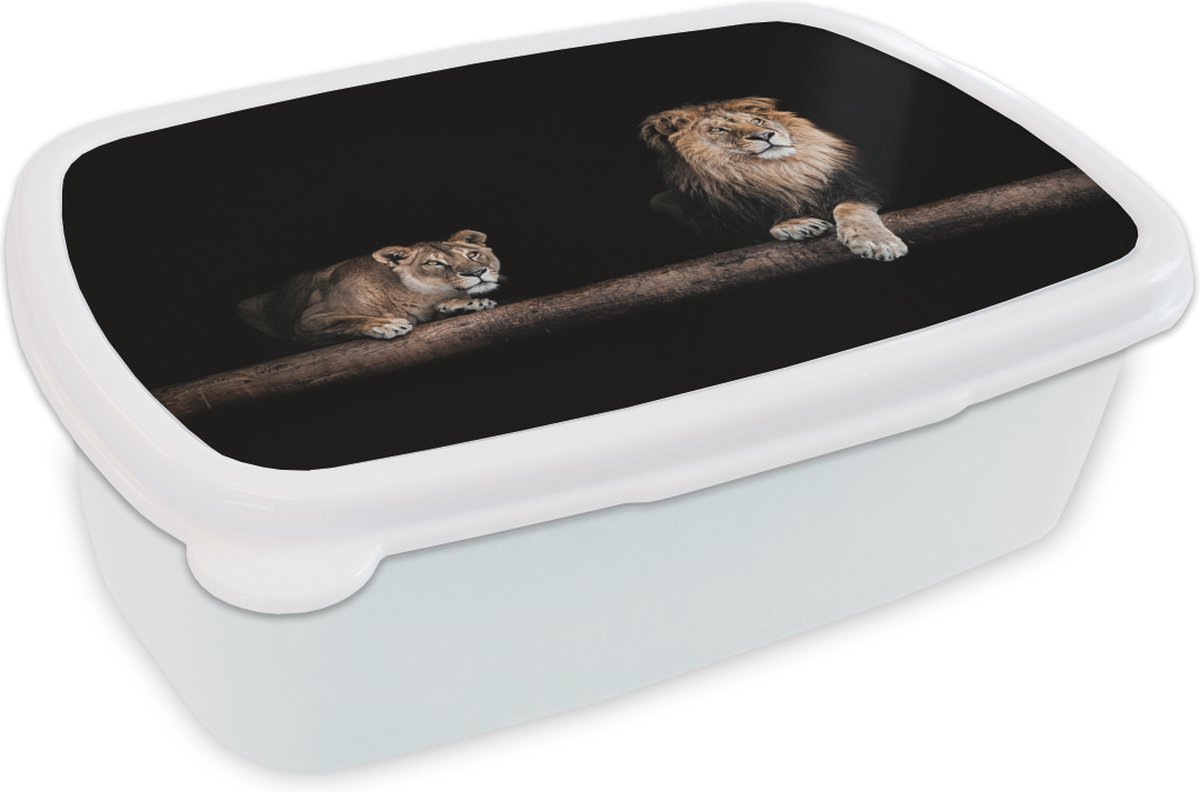 Broodtrommel Wit - Lunchbox - Brooddoos - Leeuwen - Licht - Portret - 18x12x6 cm - Volwassenen