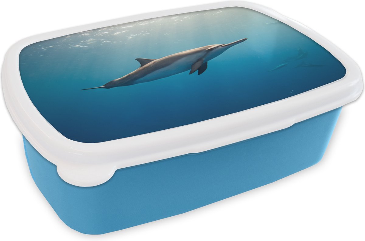 Broodtrommel Blauw - Lunchbox - Brooddoos - Dolfijn - Zee - Zon - 18x12x6 cm - Kinderen - Jongen