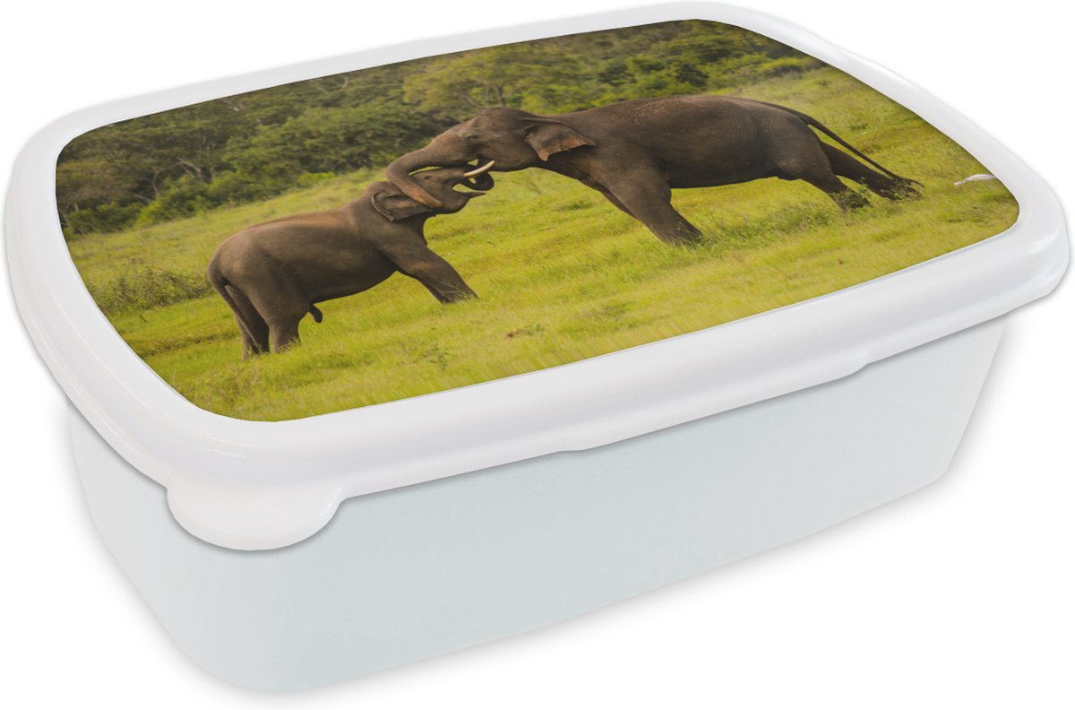 Broodtrommel Wit - Lunchbox - Brooddoos - Twee vechtende olifanten - 18x12x6 cm - Volwassenen