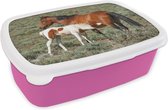 Broodtrommel Roze - Lunchbox - Brooddoos - Paarden - Veulen - Bloemen - 18x12x6 cm - Kinderen - Meisje