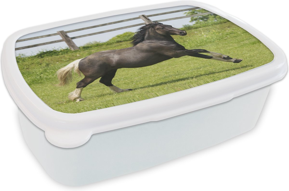 Broodtrommel Wit - Lunchbox - Brooddoos - Paarden - Gras - Hek - 18x12x6 cm - Volwassenen