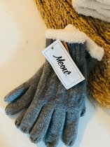 Winter Handschoenen - Dames - Verwarmde - Lichtgrijs