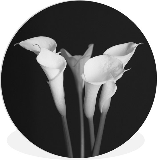 WallCircle - Wandcirkel ⌀ 30 - Een close up van calla lily-bloemen op een zwarte achtergrond - Ronde schilderijen woonkamer - Wandbord rond - Muurdecoratie cirkel - Kamer decoratie binnen - Wanddecoratie muurcirkel - Woonaccessoires