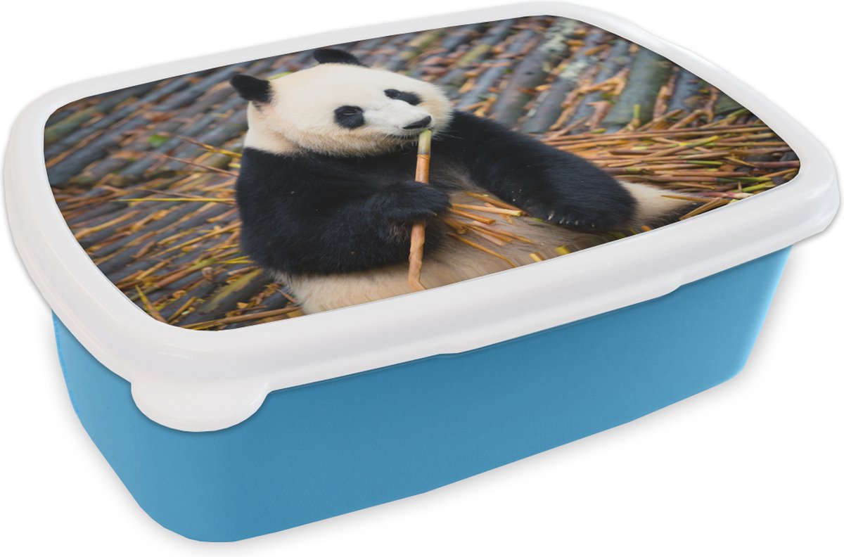 Broodtrommel Blauw - Lunchbox - Brooddoos - Panda - Bamboe - Bladeren - 18x12x6 cm - Kinderen - Jongen