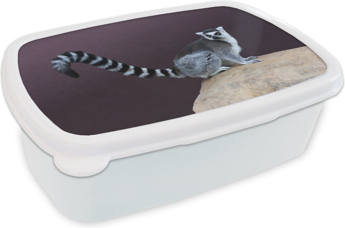 Broodtrommel Wit - Lunchbox - Brooddoos - Aap - Ringstaartmaki - Steen - 18x12x6 cm - Volwassenen
