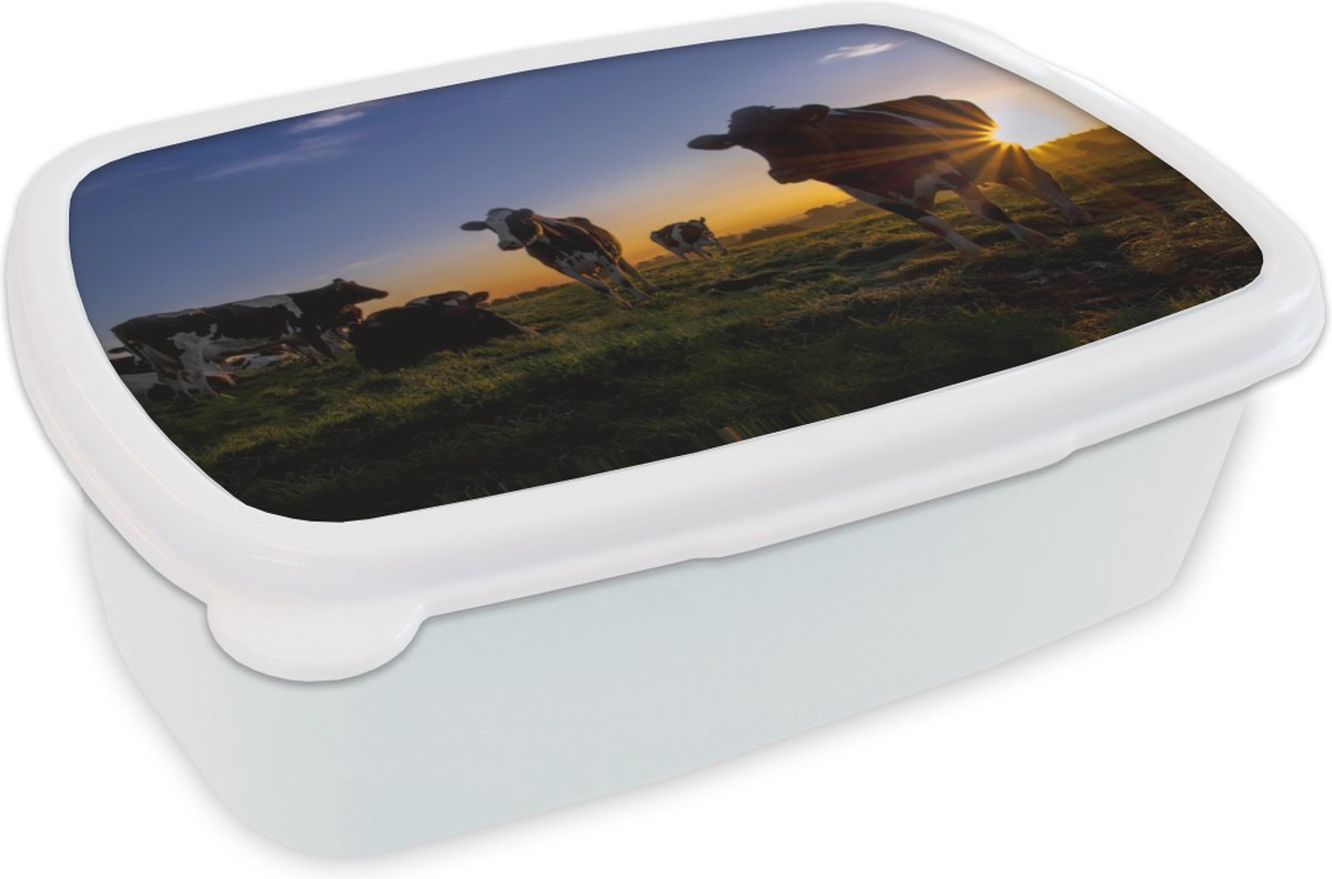Broodtrommel Wit - Lunchbox - Brooddoos - Koeien - Zon - Lucht - 18x12x6 cm - Volwassenen