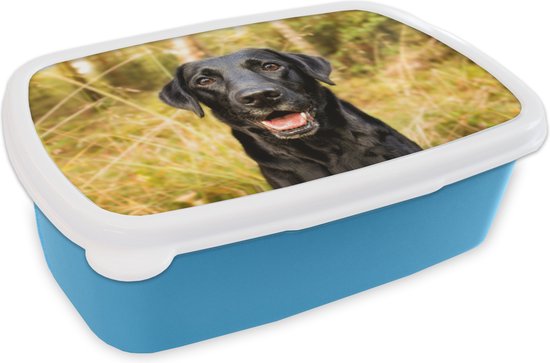 Lunch box Blauw - Lunch box - Boîte à pain - Happy black dog - 18x12x6 cm - Enfants - Garçon